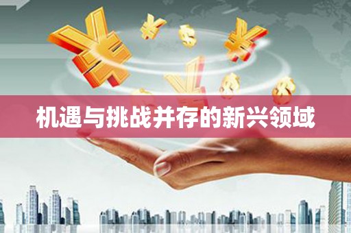 黟县机遇与挑战并存的新兴领域