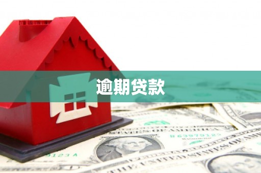 黟县逾期贷款